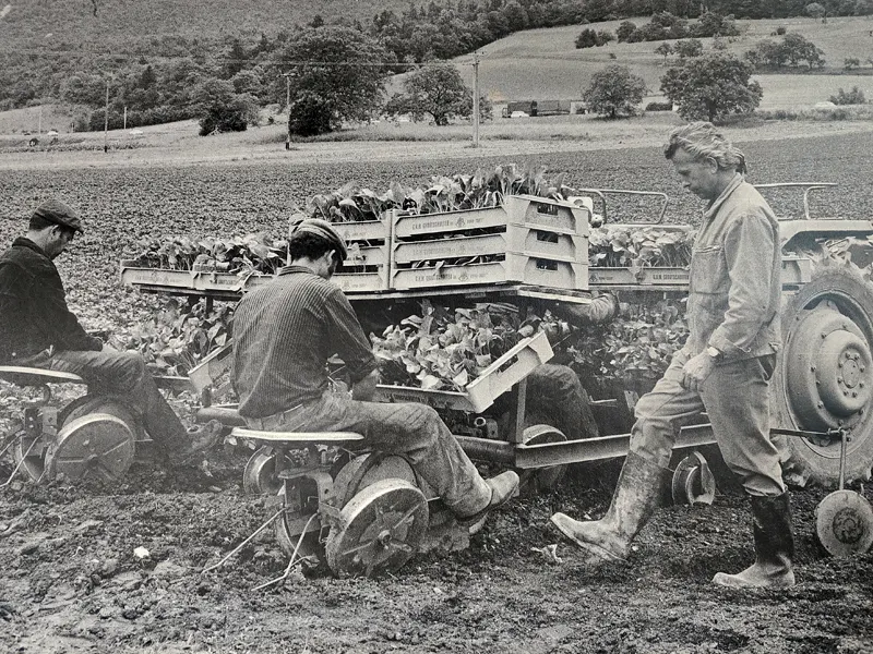 Histoire de la Flânerie